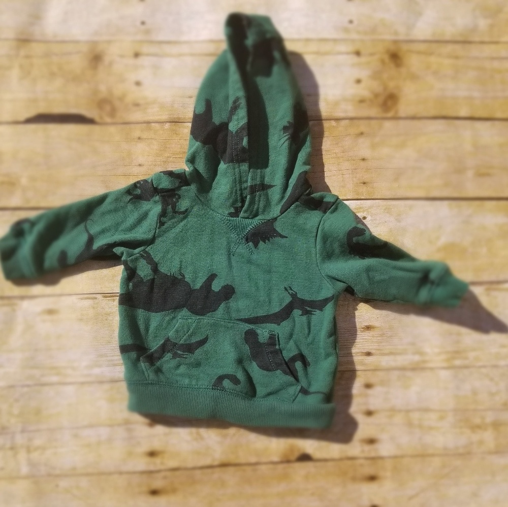 Carters Dino hoodie
